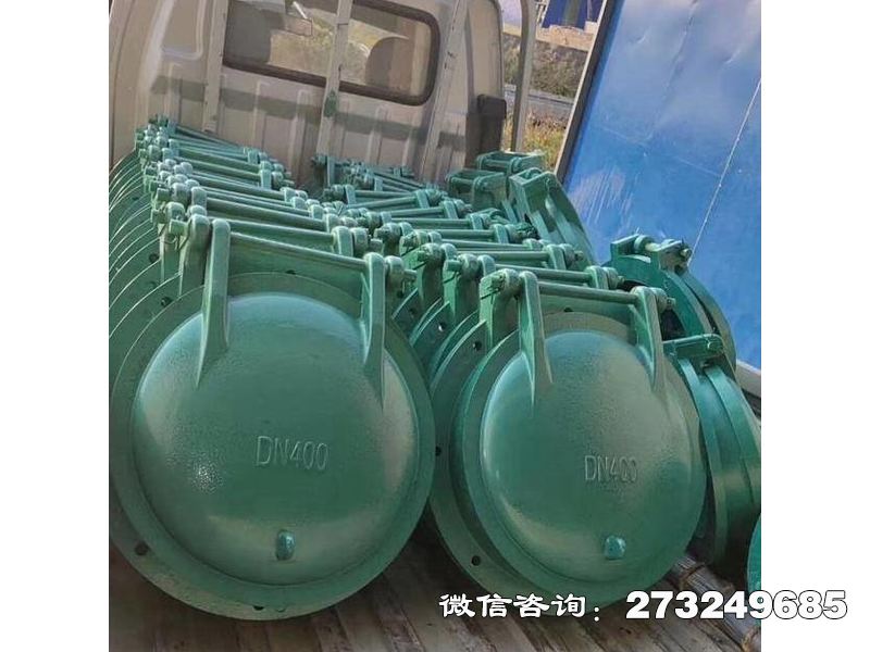托里县排污口玻璃钢拍门
