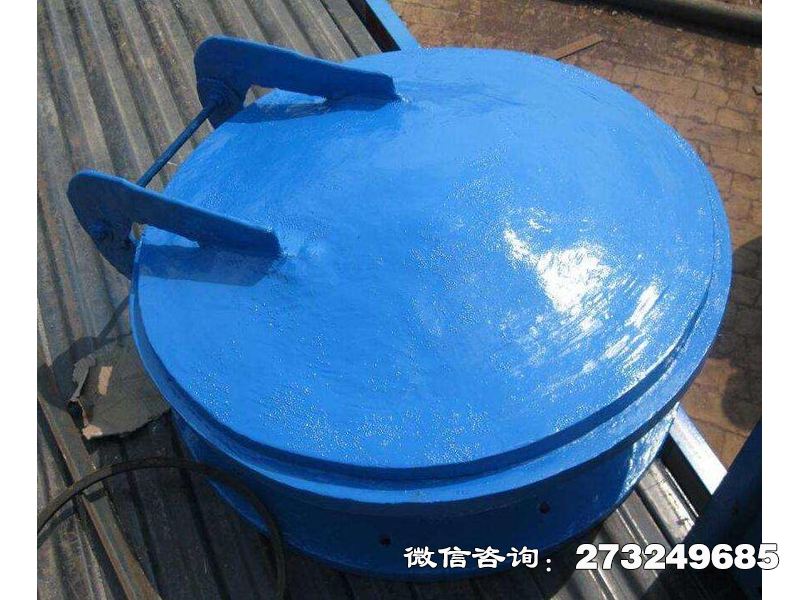 托里县复合材料防倒灌拍门