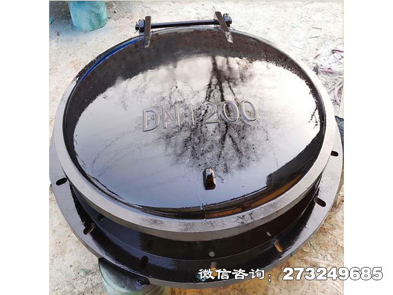 托里县防倒灌玻璃钢拍门
