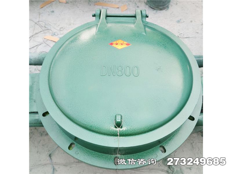托里县玻璃钢自动启闭拍门