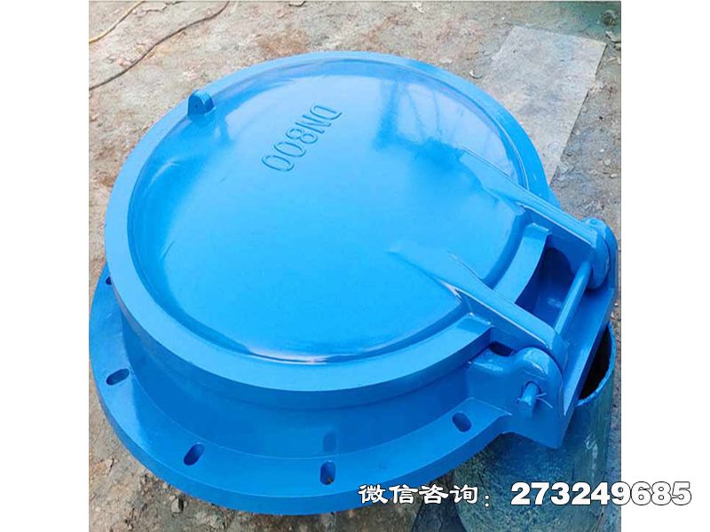 洛隆县单向水流控制拍门