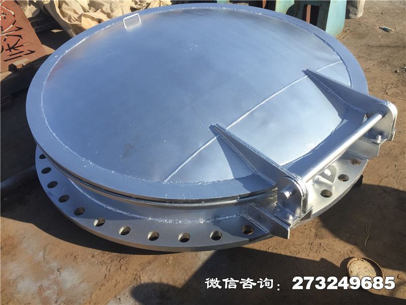 洛隆县不锈钢止回拍门