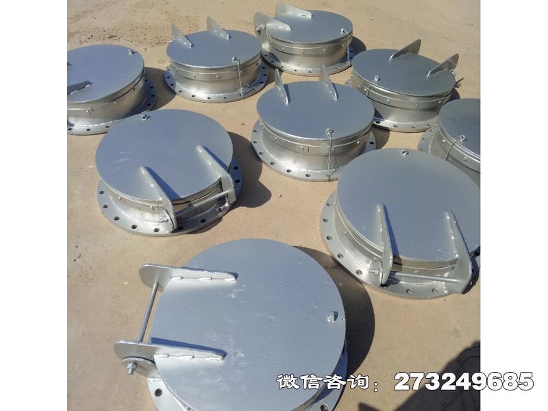洛隆县防倒灌不锈钢拍门