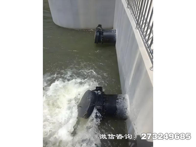 洪雅县河道潮门拍门