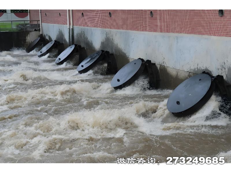 建阳灌溉渠首水闸潮门拍门