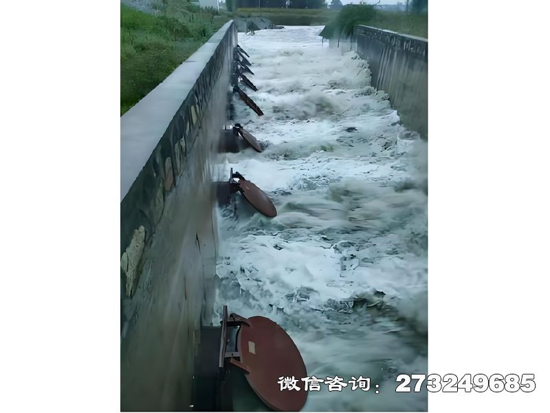 建阳进出口潮门拍门