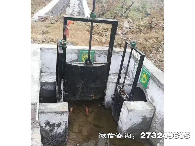南雄分水灌渠机闸一体闸门