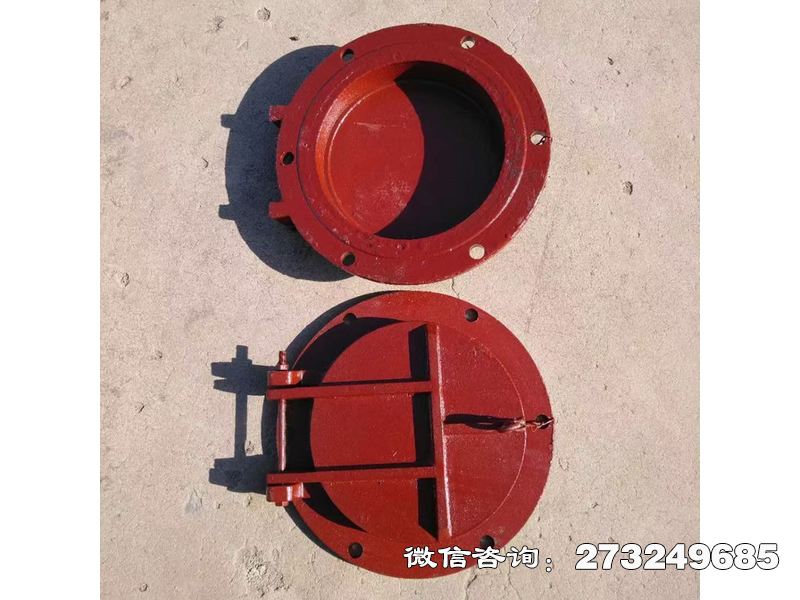 大新县铸铁圆型消能拍门