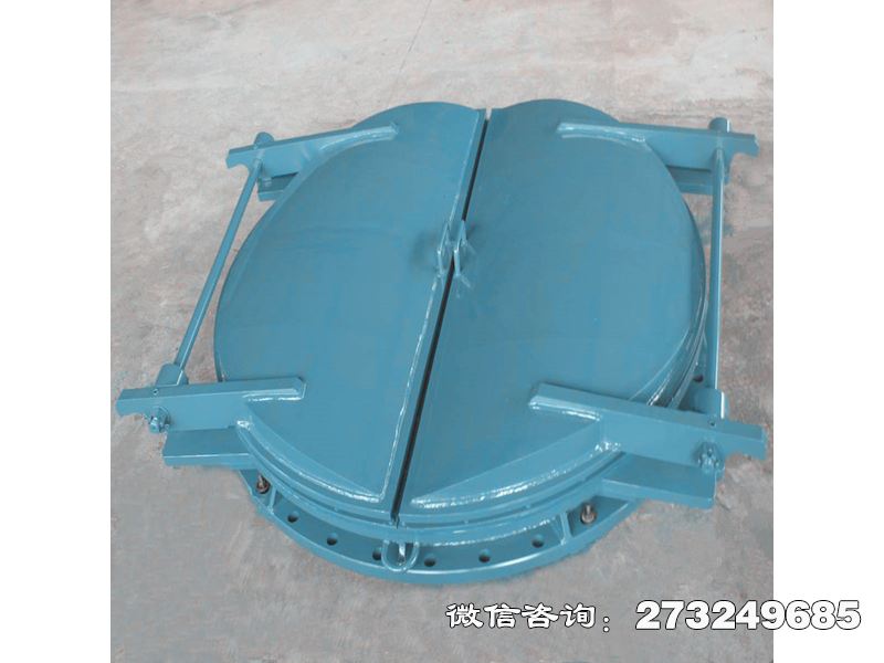 大新县铸铁圆型密封拍门